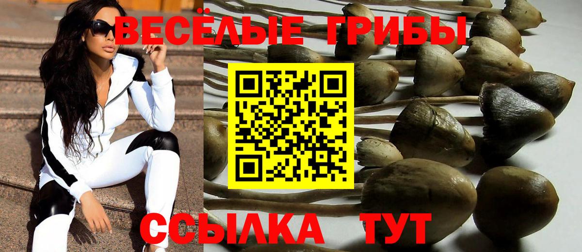 Галлюциногенные грибы MAGIC MUSHROOMS Подольск